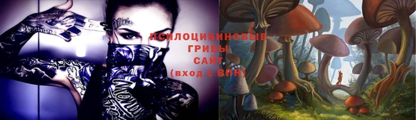 дживик Заволжск
