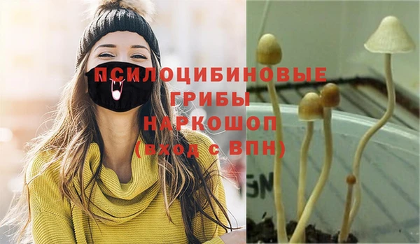 MDMA Premium VHQ Заводоуковск