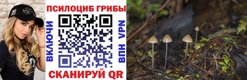 Псилоцибиновые грибы GOLDEN TEACHER  Купить где  Переславль-Залесский 